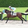 【阪神６Ｒ・２歳新馬】叔父に重賞２勝馬を持つヤマニンガルブが大外強襲Ｖ　田口貫太騎手「最後もすごい脚でした」