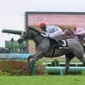 【中山９Ｒ・サフラン賞】武豊騎手も高評価「乗り味いいですよ」シルバーウィルが逃げ切りで無傷２連勝　