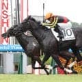 「川田さんちょっと嬉しそう」「馬券とって涙したのは初」ネット歓喜　非業の死遂げた馬の妹コニーアイランドが久々の勝利