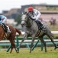 【サフラン賞結果】シルバーウィルが逃げ切り無傷の2連勝