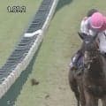 【スプリンターズステークス】ピューロマジックが逃げ切り2026秋の短距離王に！ 歴代勝ち馬ひしめく激戦制しG1初勝利