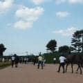 【JRA・WIN5】本日のWIN5は的中122票、配当403万8790円