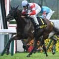 【ポートアイランドS結果】ダノンセンチュリーが抜け出しオープン初勝利