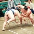 玉鷲は敗れて十両優勝ならず　2桁白星＆再入幕確実に「よく頑張った」と来月42歳の体ねぎらう