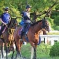 【スプリンターズＳ】武豊騎手「現状はここまでかな」２３年Ⅴのママコチャは中団追走から１０着に沈む