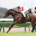 【ポートアイランドＳ】ダノンセンチュリーが萩原厩舎から転厩２戦目でオープン初Ｖ　横山和生騎手「非常に落ち着いていた」