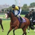 【スプリンターズＳ】武豊騎手「現状はここまでかな」２３年Ⅴのママコチャは中団追走から１０着に沈む