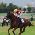 【スプリンターズＳ】三浦皇成騎手「本当に理想通りの流れ」も９歳馬ウインカーネリアンは６着で連覇ならず