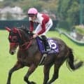 【スプリンターズＳ】直線失速のフリッカージャブは「良馬場なら違う」西村淳也騎手も無念の１２着