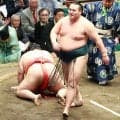 北の若が十両Ｖ　本割＆ともえ戦の１日３勝で初の各段優勝