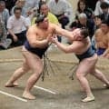 大の里が涙の秋場所３連覇　安青錦との相星決戦を制す　苦難乗り越え１年ぶりの復活賜杯「この景色だけを見たくて頑張った」一人横綱の重責果たす