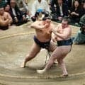 横綱大の里が6場所ぶり6度目の優勝　大関安青錦との相星決戦を制す