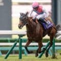 【スプリンターズS結果】9番人気ピューロマジックが逃げ切りV！ 夏の王者が秋の大舞台も制す！