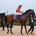 酒井学騎手に過怠金１０万円　スプリンターズＳで騎乗のレッドモンレーヴが外側に斜行　エーティーマクフィの進路が狭くなったため