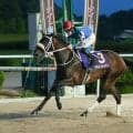 【佐賀・ロータスクラウン賞結果】サキドリトッケンが断然人気に応えて快勝