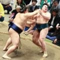 九州場所で安青錦は綱とり、熱海富士は大関とりになるのか？　浅香山審判部長の見解は…