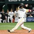 【ソフトバンク】今宮健太１本塁打含む４安打の大暴れ　中村晃「ケンタは打ち過ぎて途中交代」