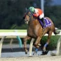 【水沢競馬】クリナッチが破竹の７連勝でヴィーナススプリント制覇　山本聡哉騎手と菅原勲調教師のコンビ