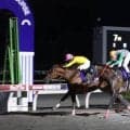 【高知競馬】牝馬サノノエスポが珊瑚冠賞を優勝　重賞２勝目　鞍上は愛知の塚本征吾騎手
