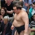 大関・安青錦が横綱・大の里に相星決戦で敗れ４度目のＶならず　「Ｖ争いしたしやれること出来た」