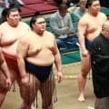 八角理事長が大の里を称賛「これを安青錦にできるのは横綱だけ」