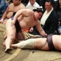 朝乃山が痛恨の連敗締め　14日目は優勝、千秋楽は三賞のチャンス消滅も来場所の７年ぶり金星意欲