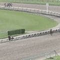 「とんでもない大差」3歳馬が超絶ペースで10馬身差“圧逃”パフォーマンス…ファン衝撃「やはり化け物」「ヒヤヒヤしたけど…」