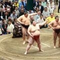 来年６月に大相撲バンコク公演開催へ　来月10月には現地でPRイベント実施予定