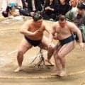 安青錦　大の里に完敗でＶ逸「自分の相撲が取れなかった」　ケガで休場危機も大関の務め果たし切る「自分はこれから。さらに強くなりたい」