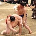 藤ノ川は堂々の敢闘賞　３大関全員撃破、大関昇進の目安の起点に「もう一つ上を目指したい」　