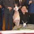 ６場所ぶりＶ涙の大の里は「新しいルーティンをつくったんだな」　故郷・糸魚川の願い－羽を休める場所に