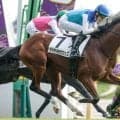 【毎日王冠見どころ】古馬相手の重賞でも能力互角以上のアドマイヤクワッズ