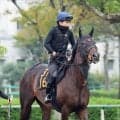 【毎日王冠・高野の特注馬】堅実な走りが魅力のライヒスアドラー　秋の飛躍に向けて初タイトル獲得へ
