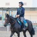 【２歳未勝利・三戸の特注馬】３冠牝馬リバティアイランド半弟のダノンダックスが負けられない戦い　田中博師「来年のクラシックに向けて…」