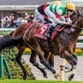 1位はレーベンスティールの復活V 毎日王冠の勝ち時計ランキング