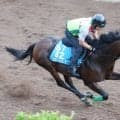 【毎日王冠・理貴の特注馬】４年連続出走のリピーター・エルトンバローズが３年ぶりＶへ　別定戦で魅力十分