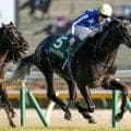 【毎日王冠想定騎手】リアライズシリウスは津村明秀騎手、ライヒスアドラーは佐々木大輔騎手