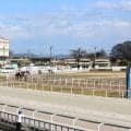 笠松競馬で「令和８年熊本地震被災地支援レース」を実施　１０月６日から９日までの各日４Ｒ