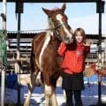 【帯広ばんえい】元ガールズケイリン選手の日野未来さんが馬主初勝利　ぶち毛の愛馬「グランプリスラム勝ちました」