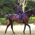 【京都大賞典】「思いのほか早い段階でグッと」２５年天皇賞・春の覇者ヘデントールが再び頂点取りへ始動