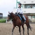 【京都大賞典】ミクニインスパイアがオールカマーより淀を選択したワケ　林師「あれだけの馬場で走って…」