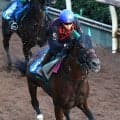 【京都大賞典】サヴォーナが開幕週の馬場味方に重賞初Ｖへ　陣営「Ｇ２なら頑張ってほしい」