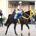 【京都大賞典】海外帰りのヴェルテンベルクが秋初戦へ好仕上がり　宮本調教師「まさかこの時計とは…」