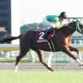 【競走伝】日本中が震撼…サイレンススズカ異次元の逃亡　最強世代２頭を”子供扱い”した伝説の一戦　９８年毎日王冠
