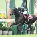 【京都大賞典展望】8歳馬ディープモンスターが連覇へ