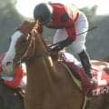 今月急逝のオウケンブルースリ 最後の勝利となった09年京都大賞典を振り返る