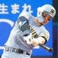 ブルージェイズが鈴木誠也と阪神からポスティング可能性の佐藤輝明獲得に乗り出す見込みと米報道