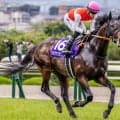 【京都大賞典】現役重賞未勝利馬では総獲得賞金3位 ショウナンラプンタが初タイトル狙う