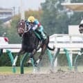 Ｇ１前哨戦で「競走内容が充実している」５競走がＧ２昇格へ！昨年勝ち馬は超豪華な顔ぶれ