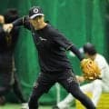 【阪神】“切り札”糸原健斗と桐敷拓馬を１軍登録　　チームは優勝M4で本拠地胴上げへ